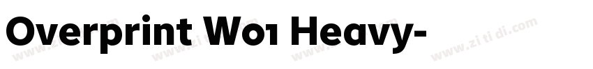Overprint W01 Heavy字体转换
